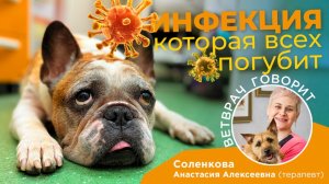 Суперинфекция