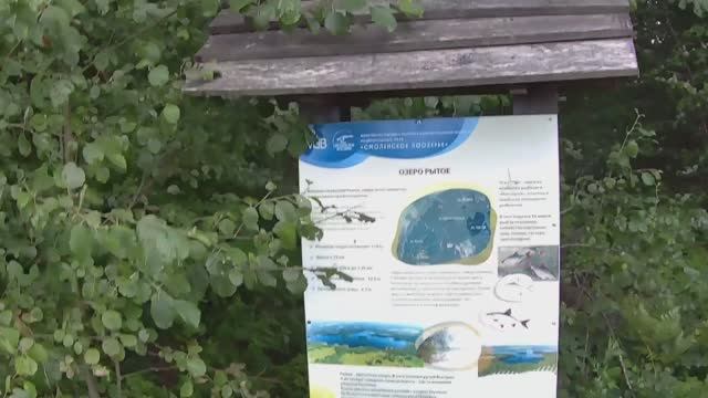 Путешествие по экотропе "В гости к бобрам". 3 часть