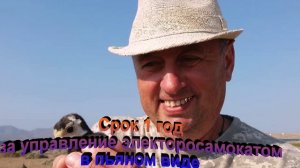 Срок за управление электросамокатом в пьяном виде