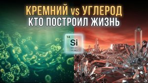 Кремний vs углерод: кто построил жизнь?