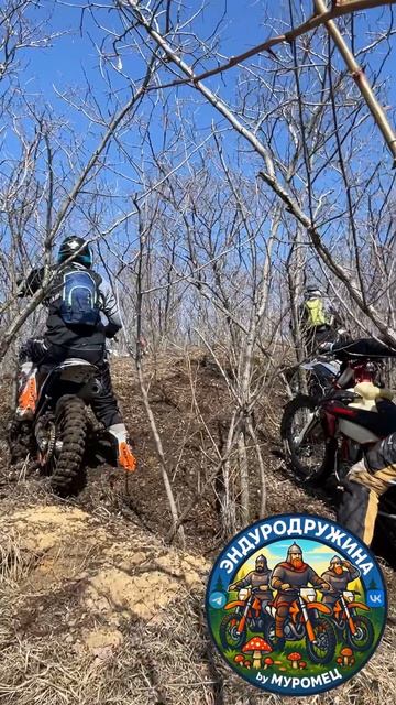 Через тернии к цели