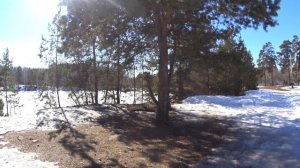 29-03-2026 прогулка по парку Гагарина