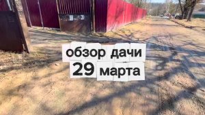 ДАЧУ ЗАТОПИЛО! На участке настоящее болото