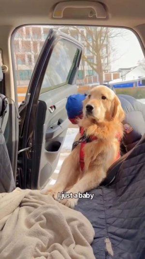 А точно надо ехать🙄?))