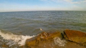 Пеленгас у берега!