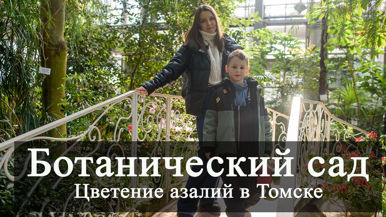 Где найти лето в Сибири? Март в Ботаническом саду ТГУ. Цветение Азалий в Томске.