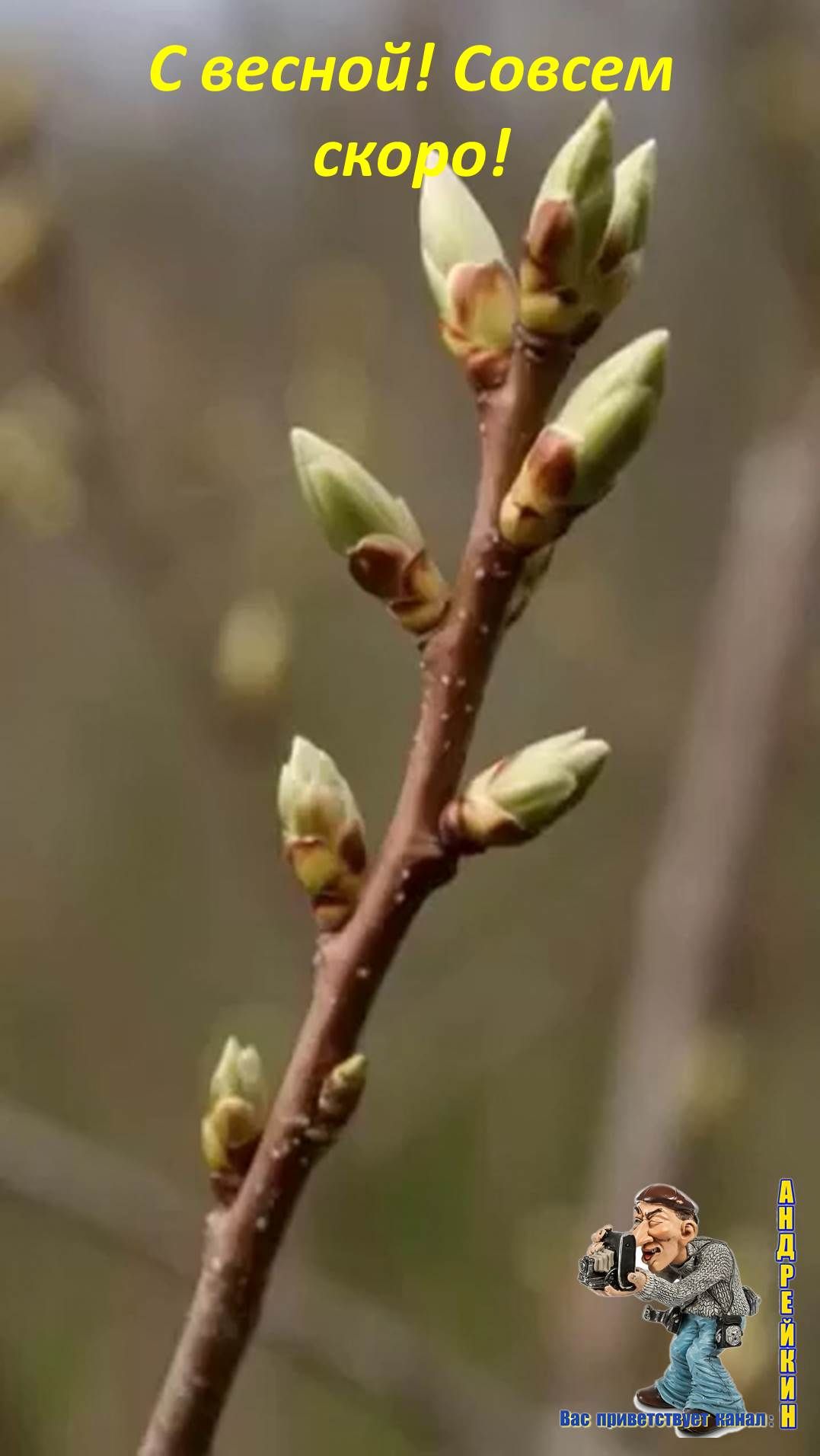 С весной!Уже совсем скоро