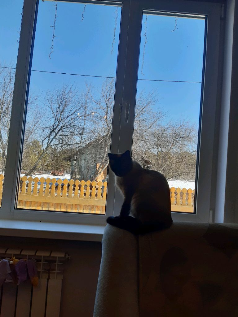 деревенский эфир