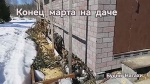 Конец марта 2026. Снег пока лежит! Природа запускается!