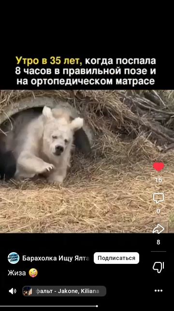 жизнено 😂🤣😁👌