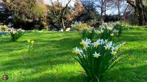 ТЫ ТОЛЬКО НЕ ГРУСТИ  - ХОРОШЕЕ НАСТРОЕНИЕ Music Mix For The Soul @OceanRelaxation-u7u