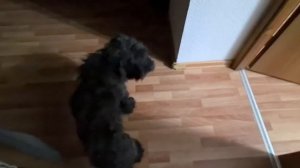 64.Влог. 29 марта 2026г.