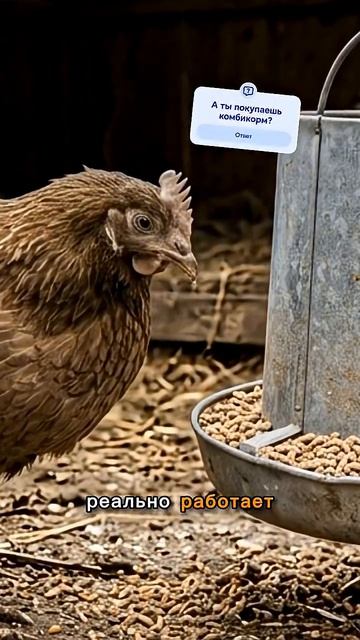 Дешевый комбикорм это мусор / Делай сам... #фермерство #яйца #птицеводство #курятник #куры