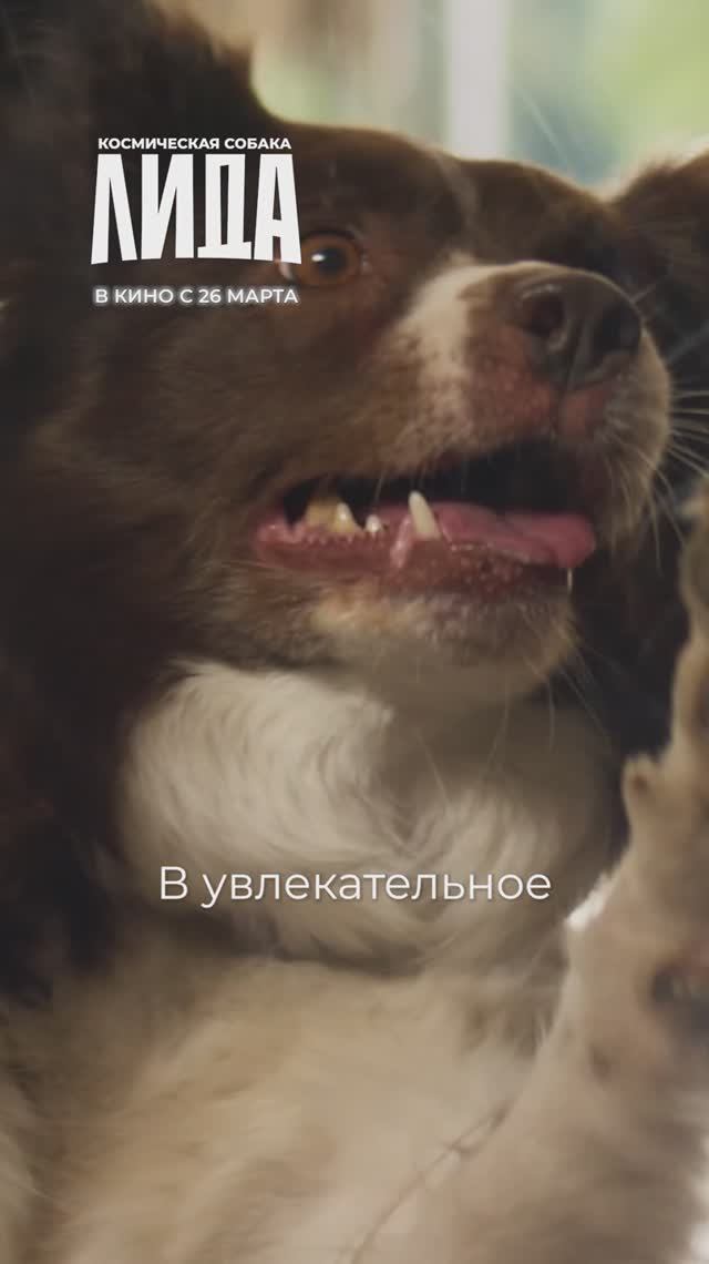 ролик «Сюжет фильма» Космическая собака Лида
