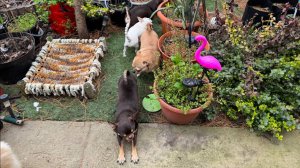 Небольшая воскресная прогулочка.