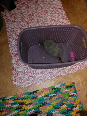 ｡･:*:･ﾟ’☆♪♫*•♪｡･:*:･ﾟ’☆♪♫*•♪♪♫*•♪｡･:*:･ﾟ’☆♪♫*•♪｡･:*:･ﾟ’☆♪♫*•♪｡･:*:･ﾟ’☆♪♫*•♪♪♫*•♪｡･:*:･ﾟ’☆♪♫*•♪｡