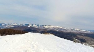 HOLDOMI 2026/ MAT_VERIUS_PROJECT/SCHILLER