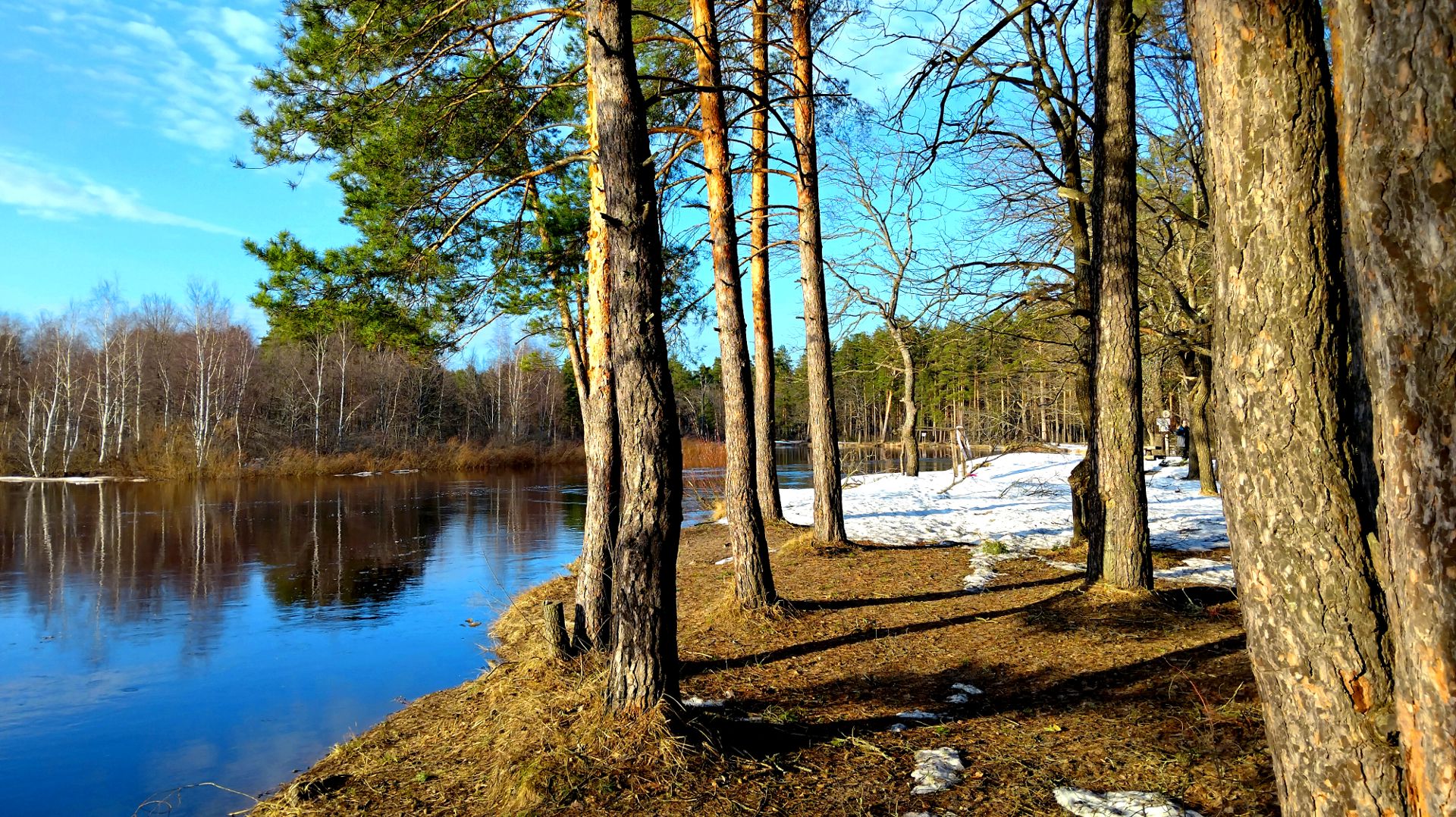 НАЧАЛО РАЗЛИВА В РЯЗАНИ (ПРА)