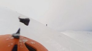 29 марта 2026. 41й с Алисой грядкой