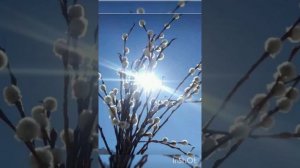 "Благословляйте"✨