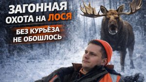 Как лося утопили, или незабываемая загонная охота!