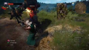 Ведьмак 3: [ПРОХОЖУ ВПЕРВЫЕ] Сюжет и побочки.