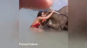 Funny Animals Videos   Funny Girl Video lucu 2026   Funny gi
