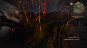 Ведьмак 3: [ПРОХОЖУ ВПЕРВЫЕ] Сюжет и побочки.