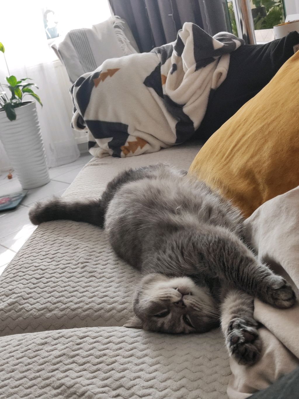 делаем секретный штаб