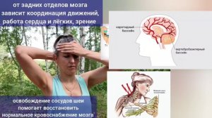 Дуговое упражнение головой и шеей укрепляет главную (базилярную) артерию мозга. Секреты выполнения