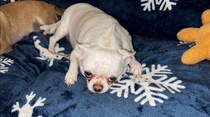 Доброго всем вечера и самой спокойной ночи.