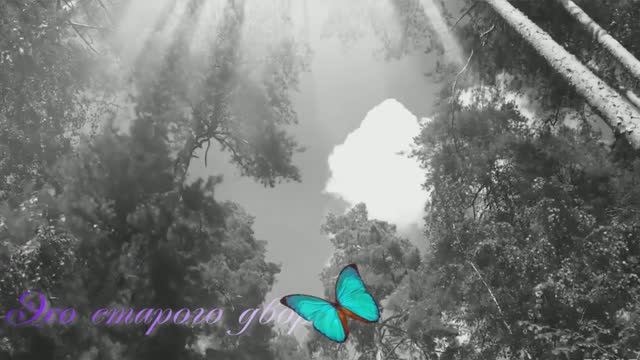 Эхо старого двора.