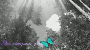 Эхо старого двора.