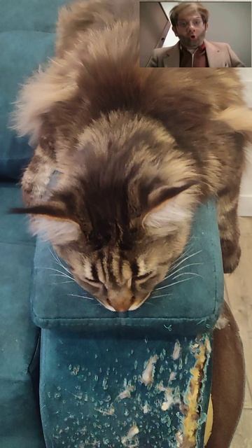 А кто это сделал?