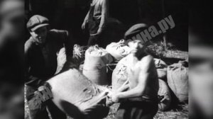 Колхозники. Деревня. УССР