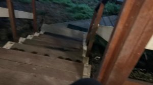 СОЧИ ГОРНОЕ ЛОО УТРО 29.03.2026