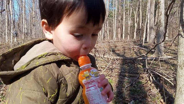 Давид в лесу