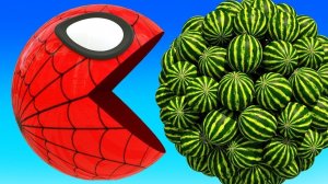 Учим диких животных для детей - Игрушки с животными для детей - Веселое приключения с Пакман