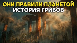 ГРИБЫ ПРАВИЛИ ПЛАНЕТОЙ? ИСТОРИЯ ГРИБОВ