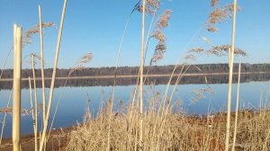 Нейро ВИА - Любовь