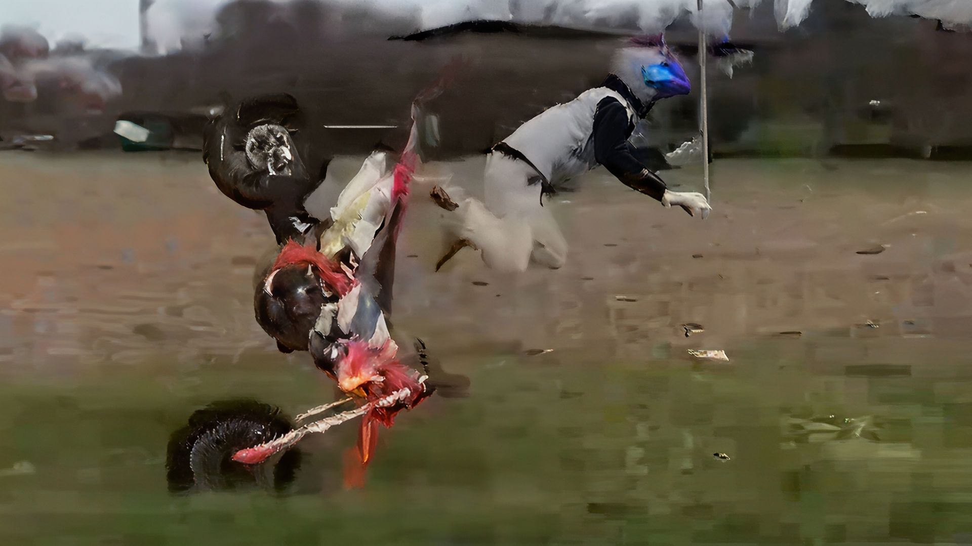 Подборка Аварий и ДТП, горе мотоциклисты открыли сезон🏍️