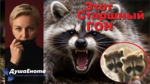 Этот страшный ГОН, или как мы гоним вместе с енотами.