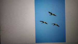 мир изучен на 0 %