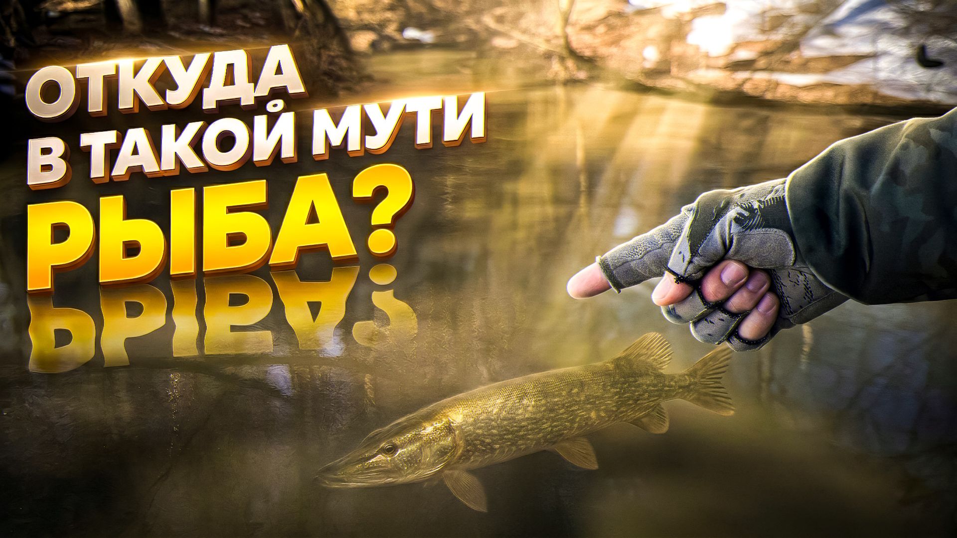 ТУТ НЕ ДОЛЖНО БЫТЬ РЫБЫ 😱... НО ОНА КЛЮЕТ ❗️ СЛОЖНАЯ РЫБАЛКА на ГРАНИ ПОЛОВОДЬЯ