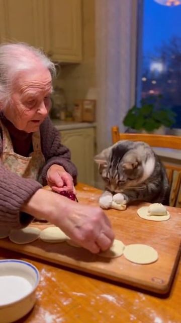 Кот готовит