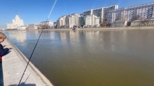 Рыбалка «на стопе»! Весенний нерестовый запрет 2026: что нужно знать?