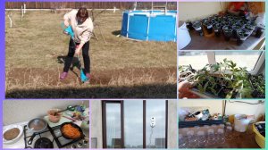 Культиватор.Печёночный торт.Пикировка рассады.