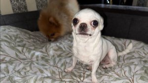 Всем наидобрейшего утречка и чудесного настроения.