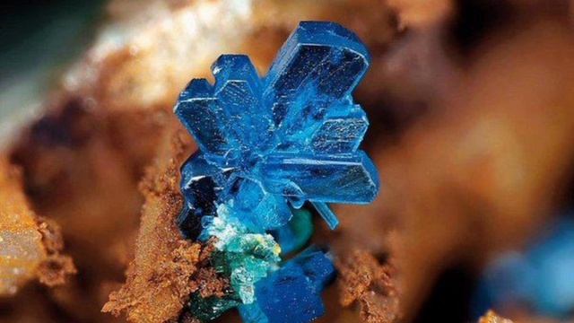 Любовь - это закон