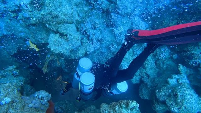 Dahab Snake  Canyon 2026_4k